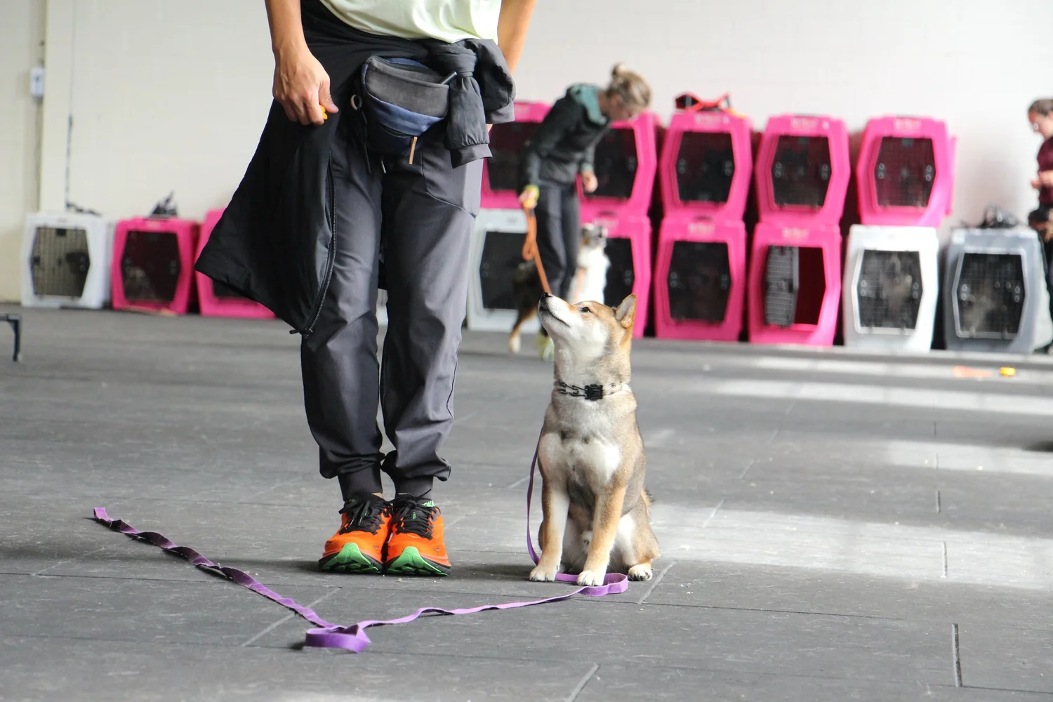 Private Lessons